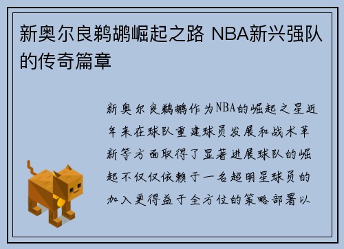 新奥尔良鹈鹕崛起之路 NBA新兴强队的传奇篇章