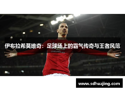伊布拉希莫维奇：足球场上的霸气传奇与王者风范