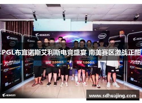 PGL布宜诺斯艾利斯电竞盛宴 南美赛区激战正酣