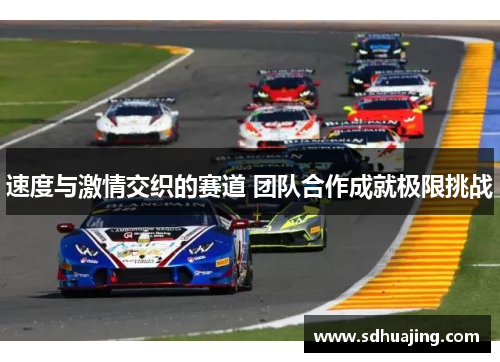 速度与激情交织的赛道 团队合作成就极限挑战