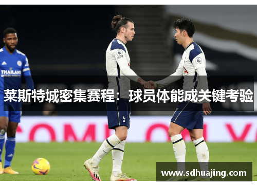 莱斯特城密集赛程:球员体能成关键考验 莱斯特城密集赛程:球员体能成关键考验